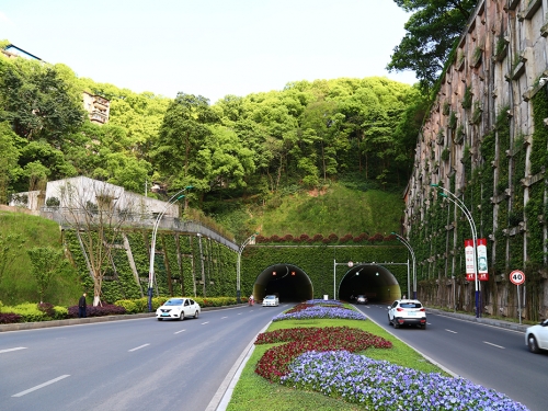 忠山隧道景观提升